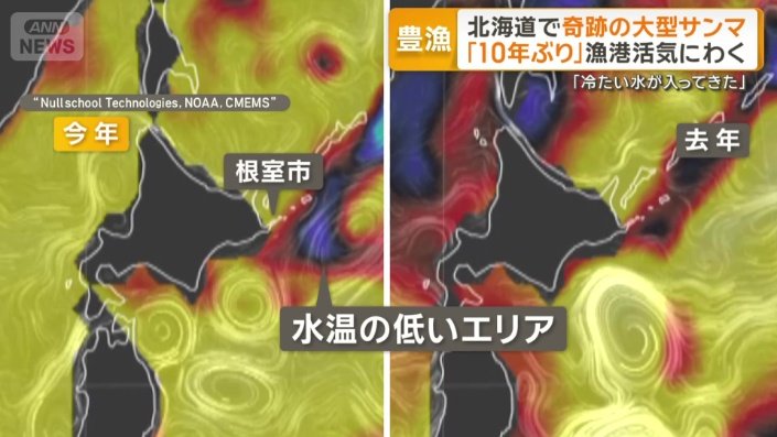 海面水温の変化、海流の様子が分かる地図