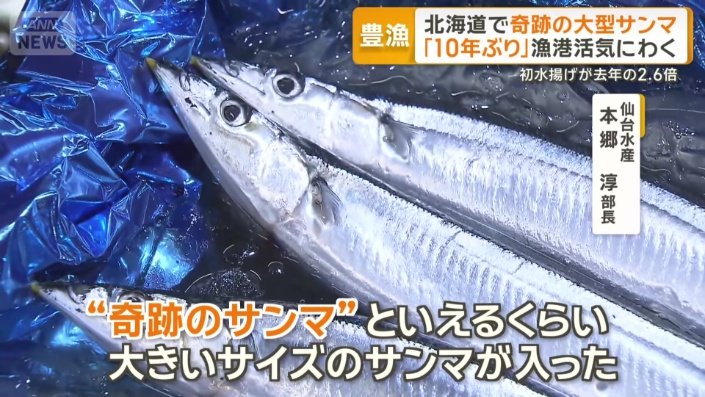 「約10年ぶりに入った大きなサンマ」