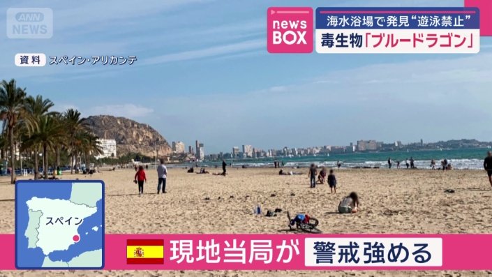 今回発見されたのは、スペイン南東部の海岸