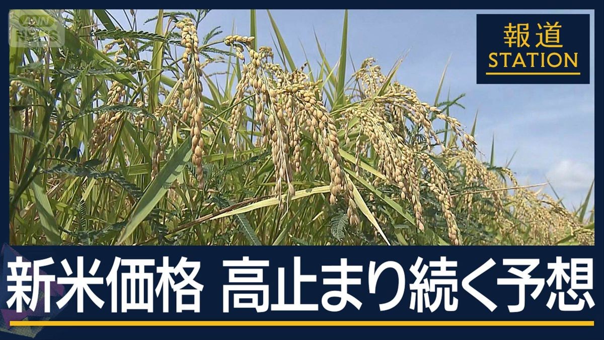 コメ農家“収入増”も不安は尽きず…『新米価格』高止まり続く予想
