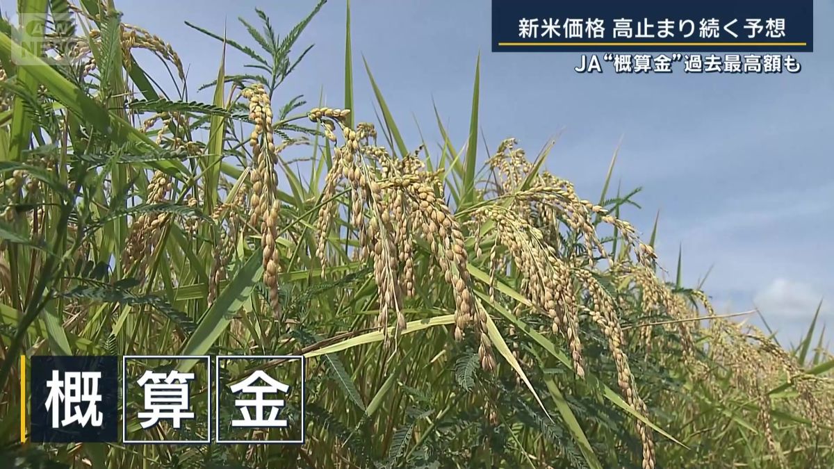 概算金