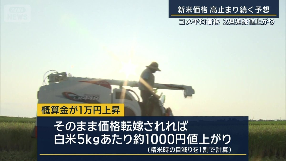 概算金が1万円上昇