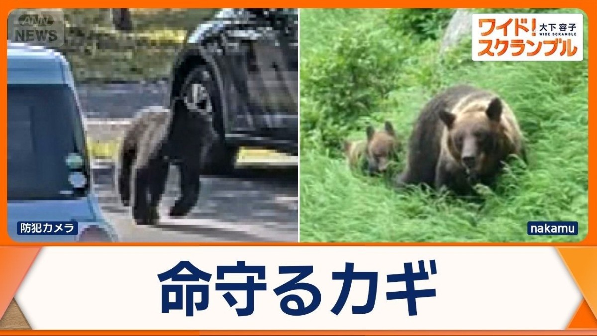 クマに襲われる被害が都内でも　命を左右…クマ撃退スプレー　有効な使い方のポイント