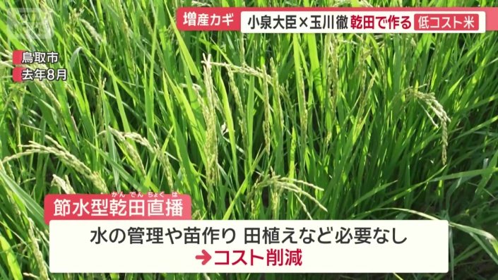 大幅なコスト削減が可能