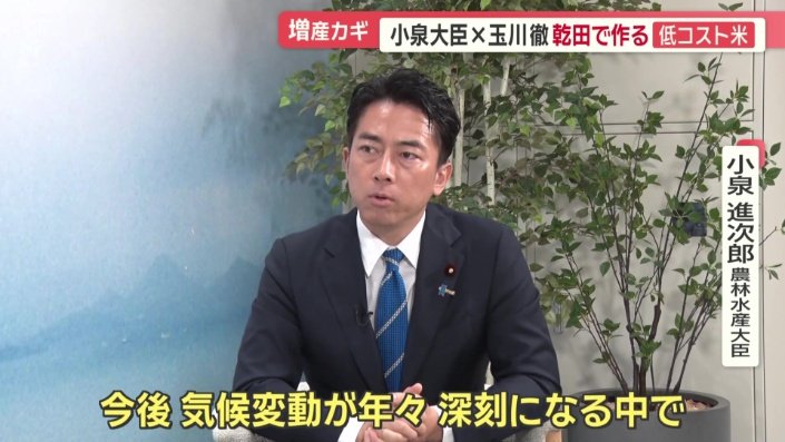 種もみの準備から収穫・管理までの労働時間も従来の田んぼのおよそ5分の1で済むという