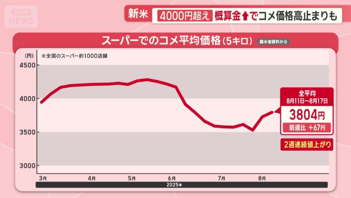 2週連続の値上がり