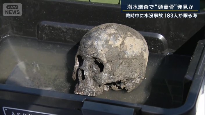 頭蓋骨