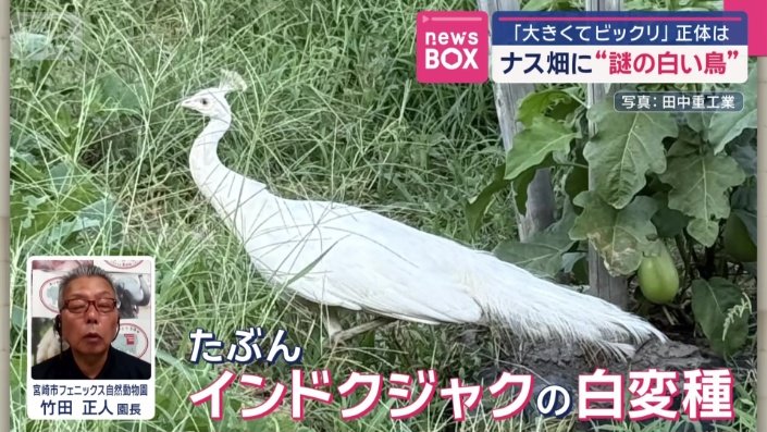 宮崎市フェニックス自然動物園　竹田正人園長  