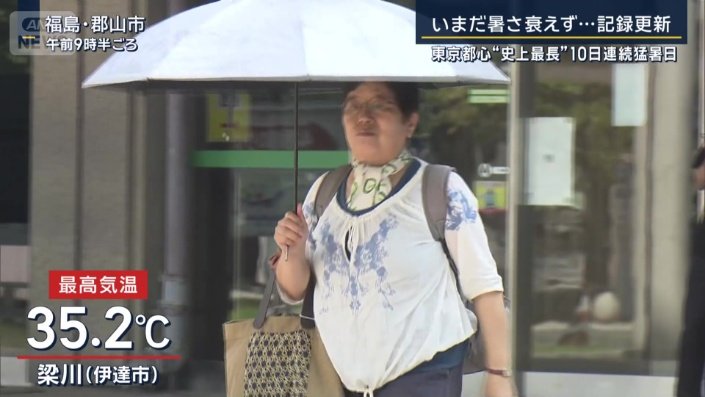 伊達市