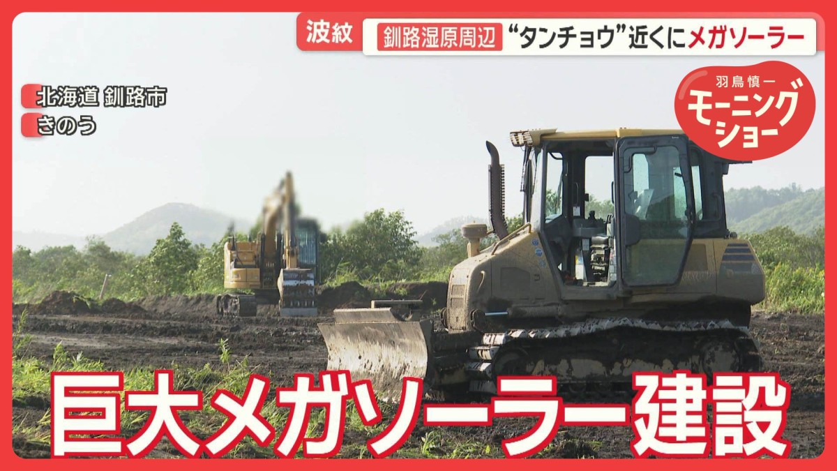 特別天然記念物の生息地周辺に“巨大メガソーラー”　事業者側と行政側で話の食い違い