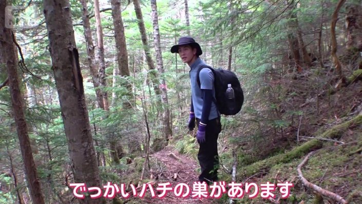 ハチが大の苦手の佐々木アナ