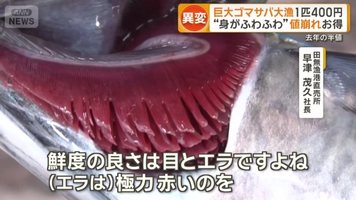 「(エラは)極力赤いのを」