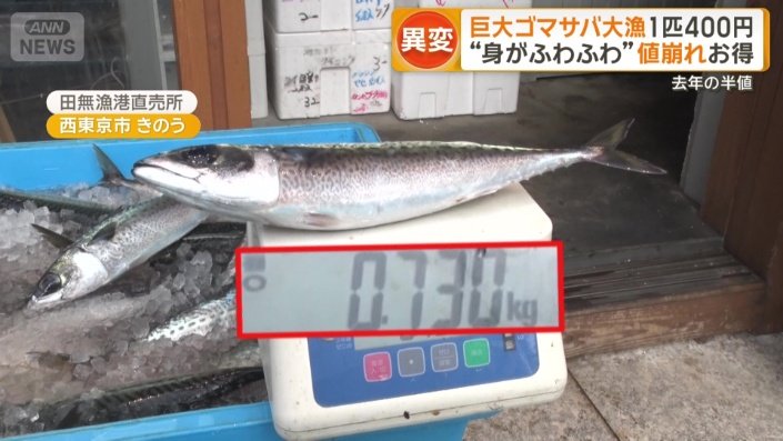 注目すべきはその大きさ