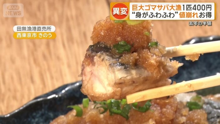 ゴマサバの唐揚げ