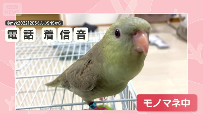 まるで本物…電話の着信音モノマネ