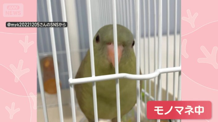電話を探してしまうほどのクオリティー