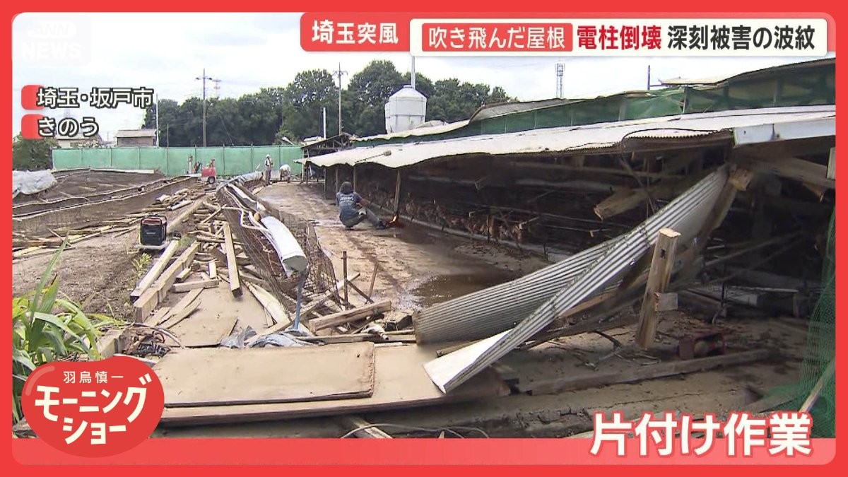 「台風より強い」埼玉“局地的”突風　屋根飛び…電柱倒壊　映像捉えた15分間の異変