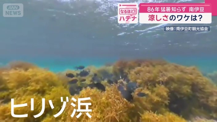 本州トップクラスの透明度を誇るヒリゾ浜