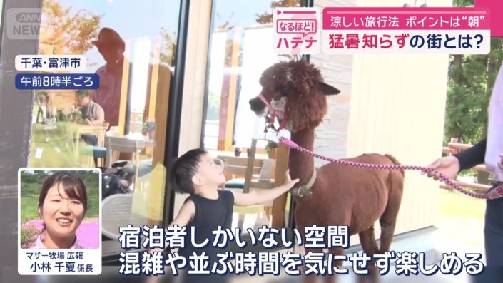 グランピング施設に宿泊すると…