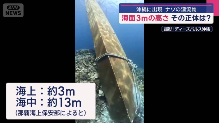 水中撮影した映像