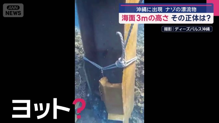 「ヨットではないか」