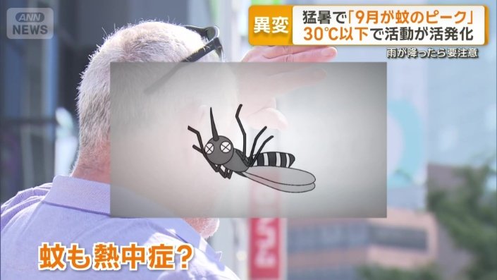 蚊も熱中症に？