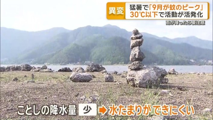 雨が少なく水たまりができにくくなっていること