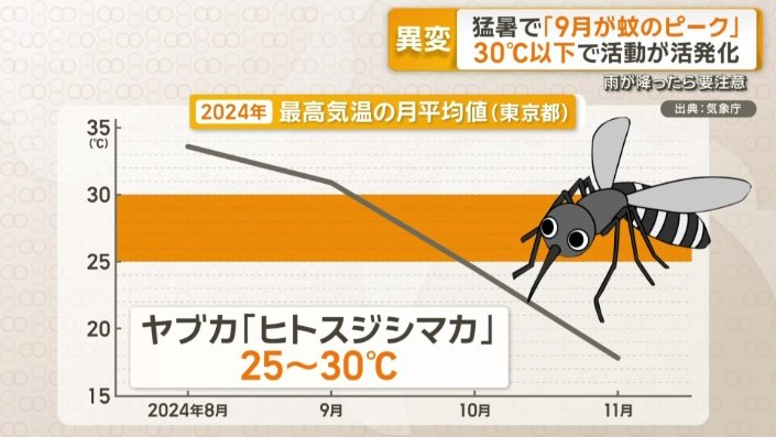 ヤブカの代表「ヒトスジシマカ」