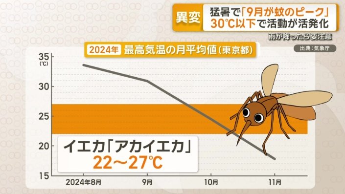 イエカの代表「アカイエカ」