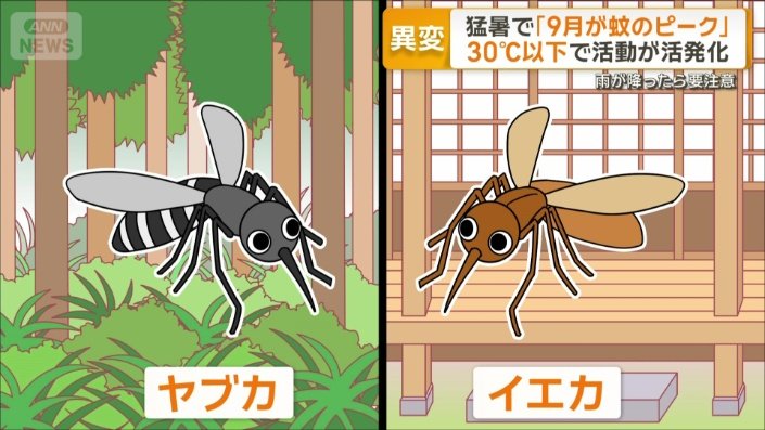 藪の中に生息「ヤブカ」と家の中でも活動「イエカ」