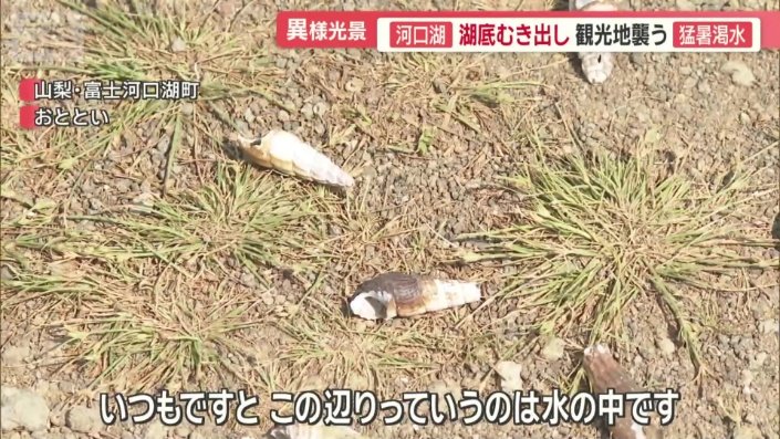 本来、この辺りは水の中