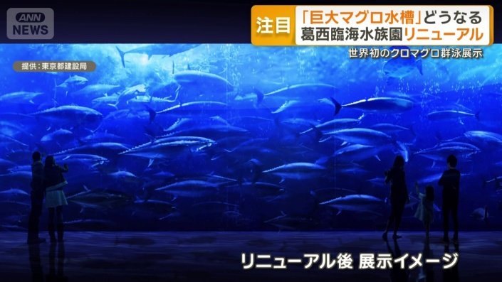 リニューアル後の展示イメージ