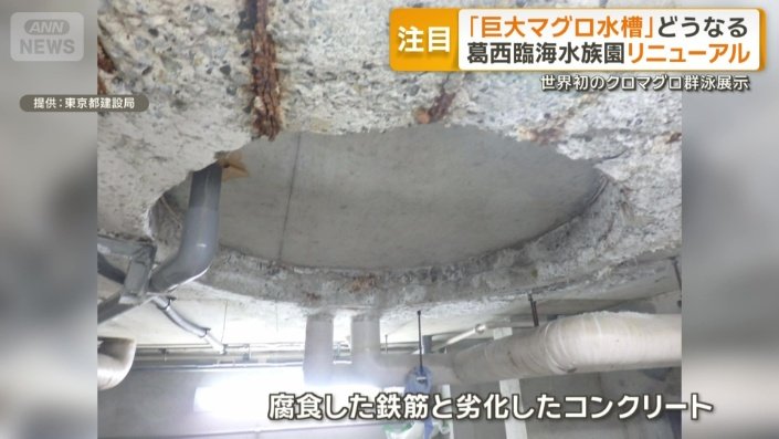 腐食した鉄筋と劣化したコンクリート