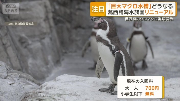 現在の入園料　大人700円　小学生以下無料