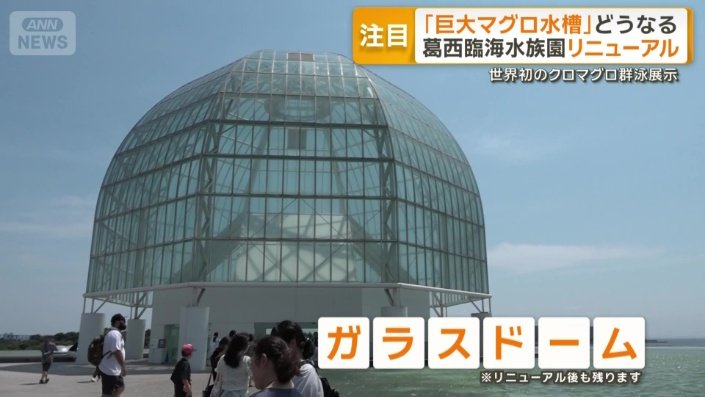 特徴的なガラスドーム