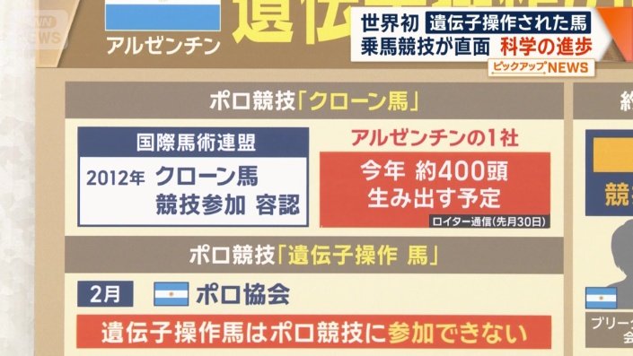 ポロ競技「クローン馬」