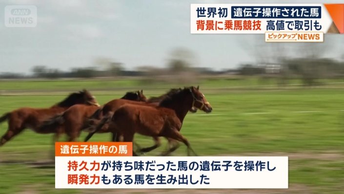 アルゼンチンのバイオ企業
