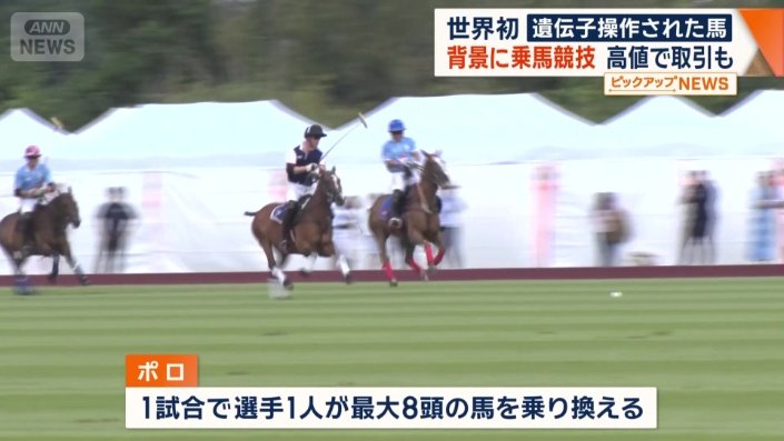 イギリス王室にも愛される格式あるスポーツ