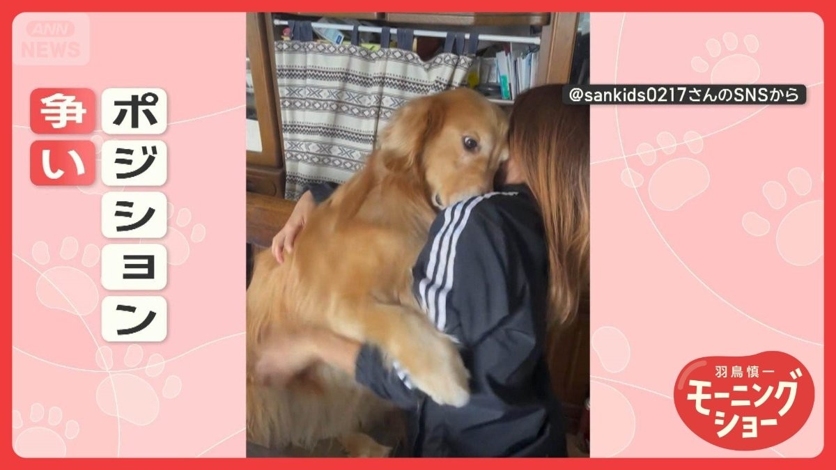 ハグ合戦　「上手（うわて）とりたいワン！」　ポジション争い？　飼い主と白熱大相撲