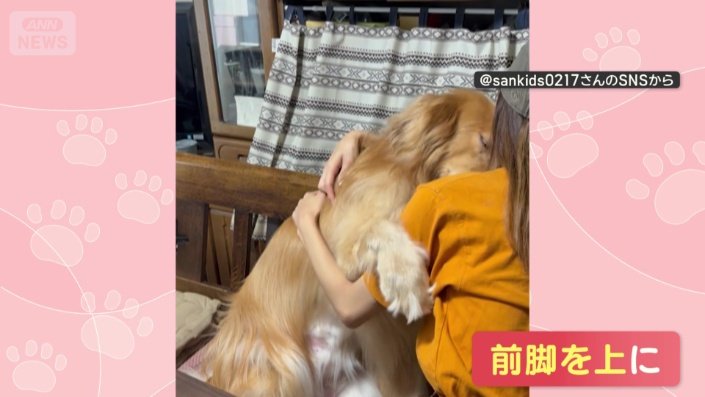 スッと前脚を飼い主さんの腕の上に