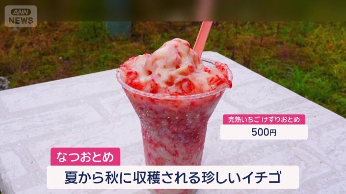 完熟いちごけずりおとめ