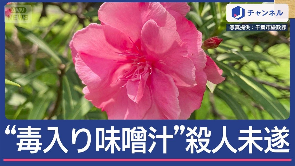 “毒入り味噌汁”叔父を「殺そうと」…高校生を逮捕