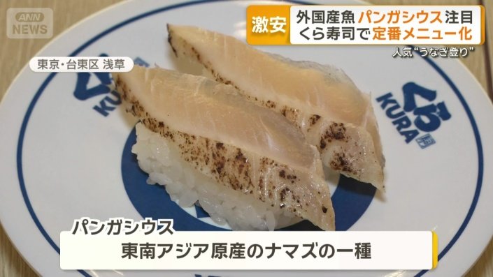 東南アジア原産のナマズの一種「パンガシウス」