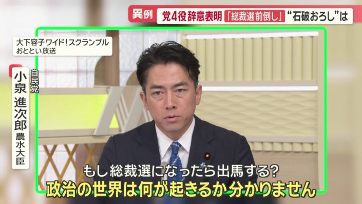 自民党　小泉進次郎農水大臣