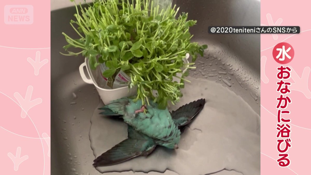 おなかに水を浴びる