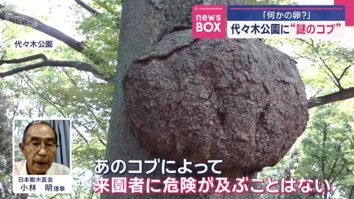 問題はないという