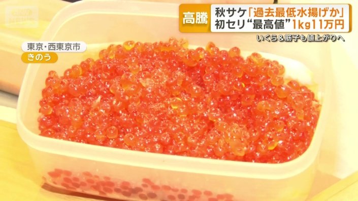 キラキラと宝石のように光るイクラ
