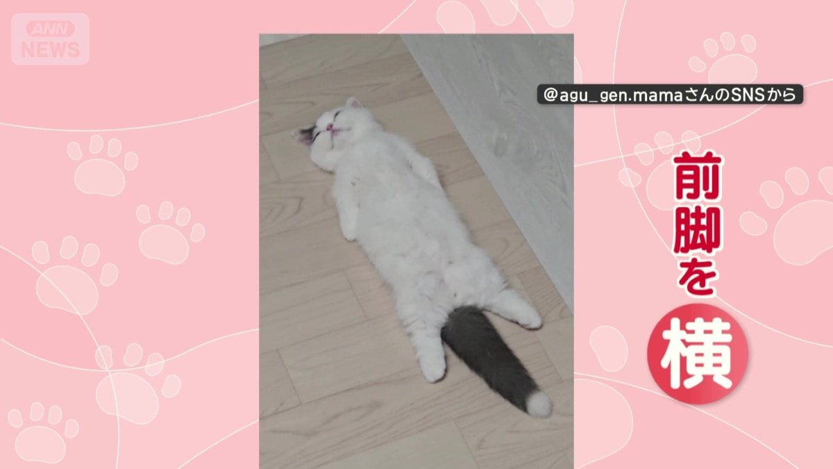 寝る姿が独特