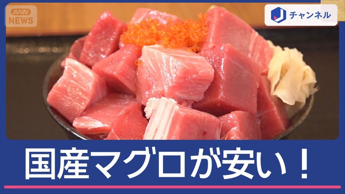 「南極マグロ」新たに誕生！？ 漁獲枠拡大で国産マグロがお得！ 脂たっぷり希少部位も