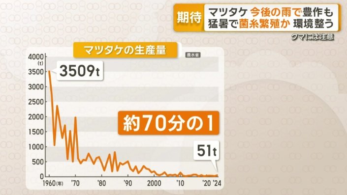 国内のマツタケの生産量